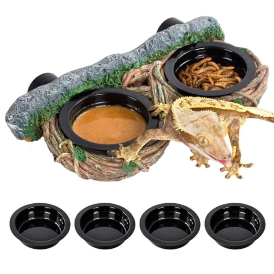 Water Dish Reptile - 【Spot goods】Magnetic Reptile Feeding Ledge Gecko