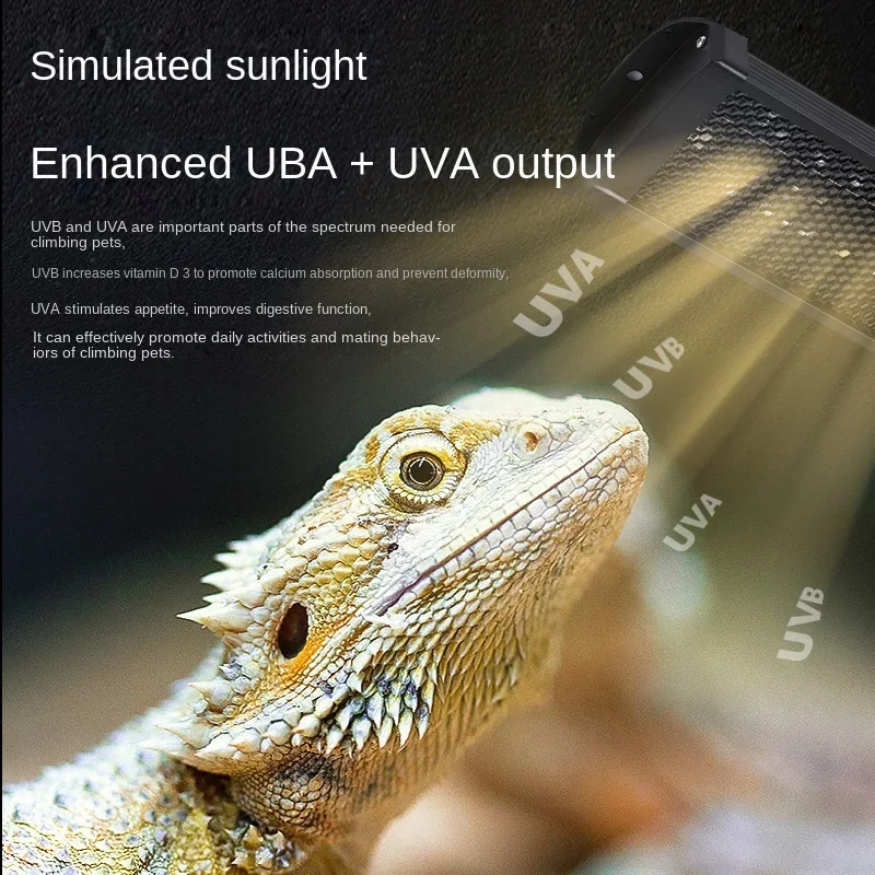 Calcium Powder Reptile - 10.0 20.0 Reptile Full Spectrum LED