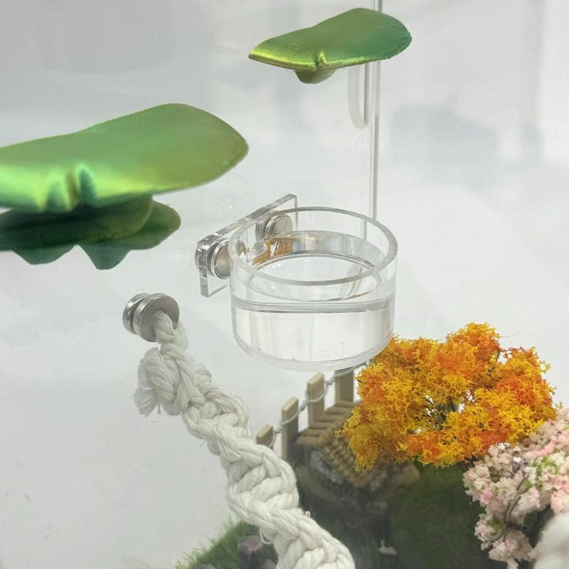 Water Dish Reptile - New Reptile Feeding Dish Set Mini