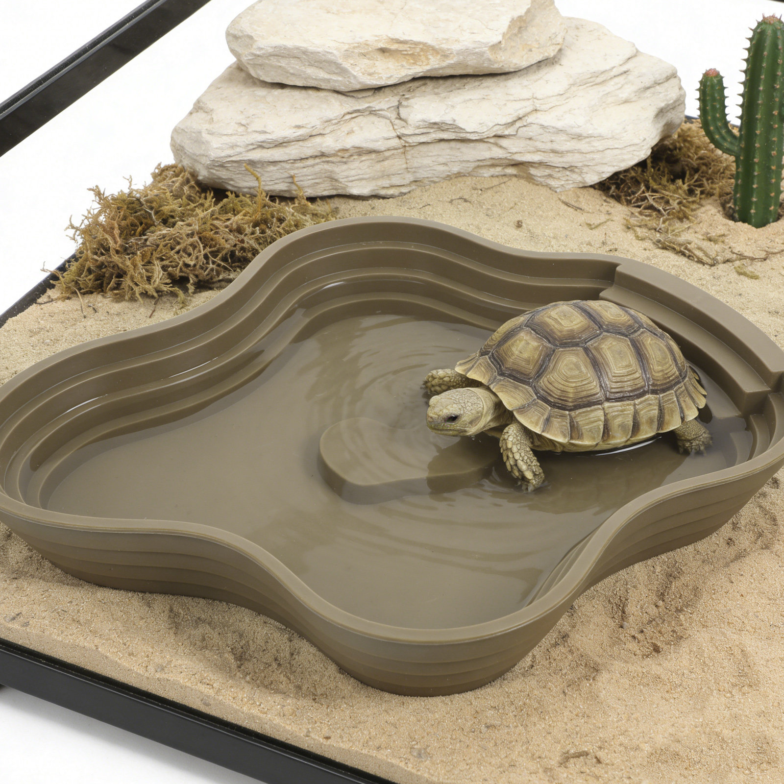 Water Dish Reptile - Large Turtle Reptile Bathing Pool Deep