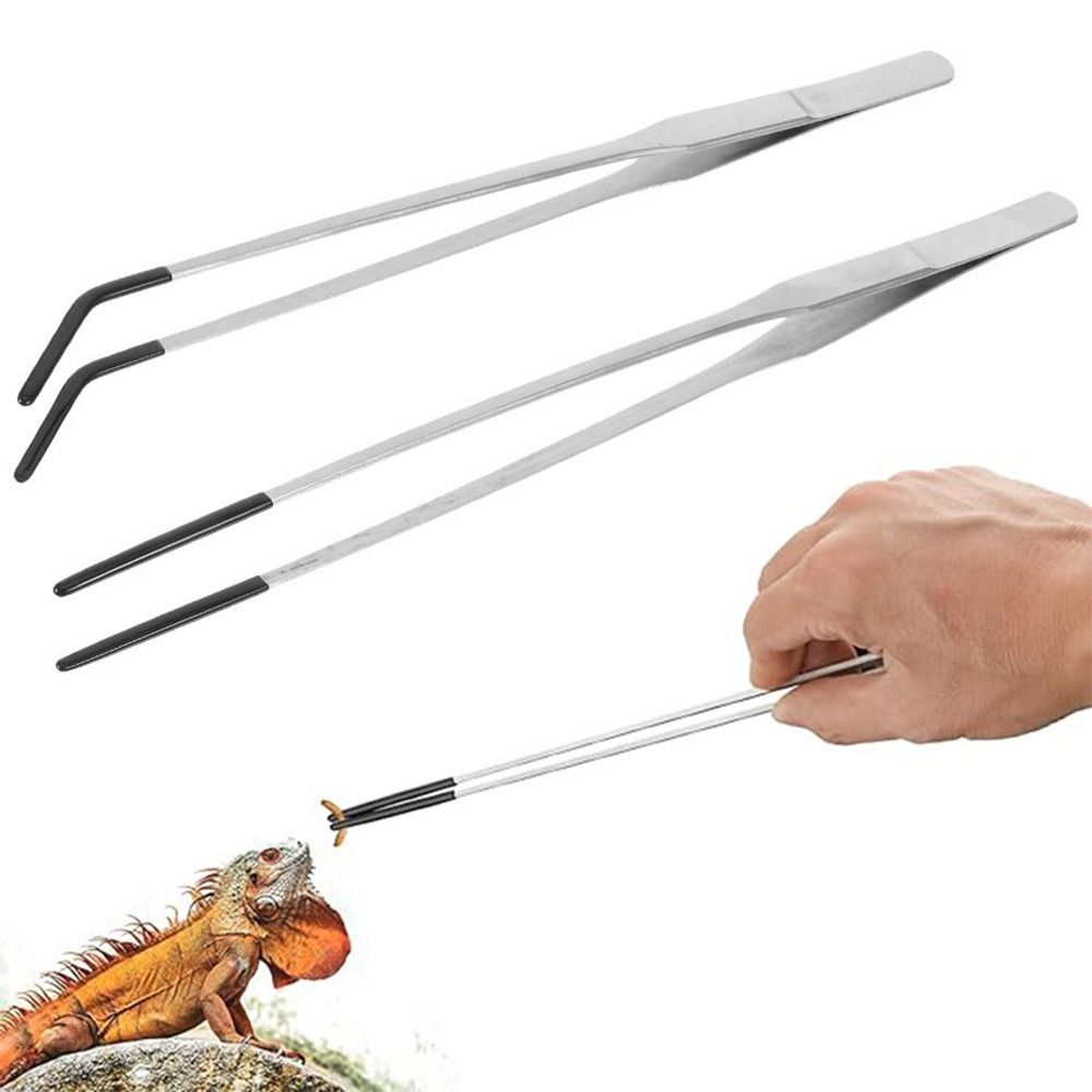 Feeding Tong Stainless - 2Pcs Stainless Steel Aquarium Feeding Tweezers