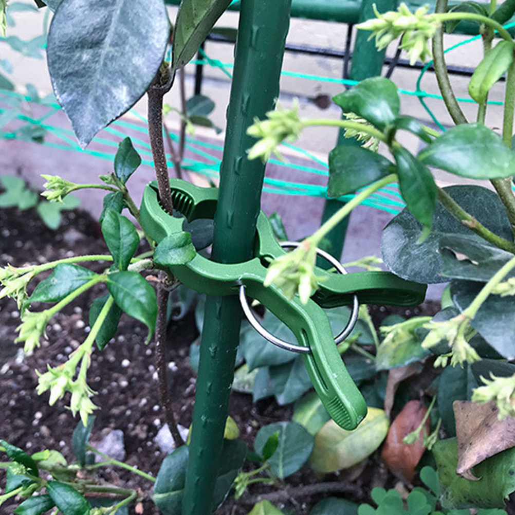 Vine Climbing Plastic - 50Pcs Plant Support Clips for Climbing