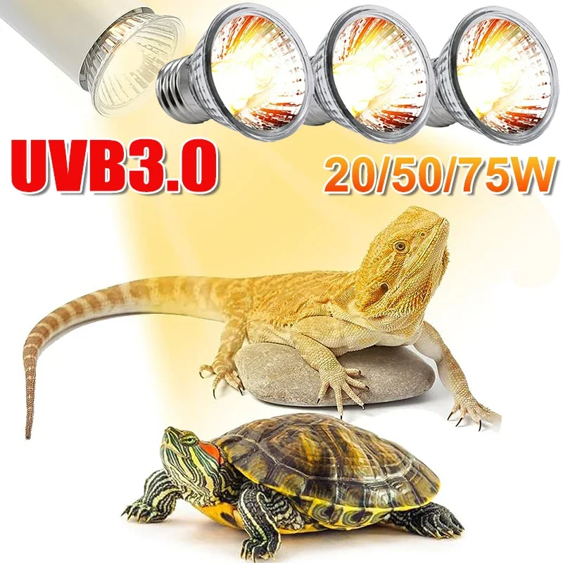 Calcium Powder Reptile - 25/50/75W UVB Reptile Lamp Bulb Tortoise