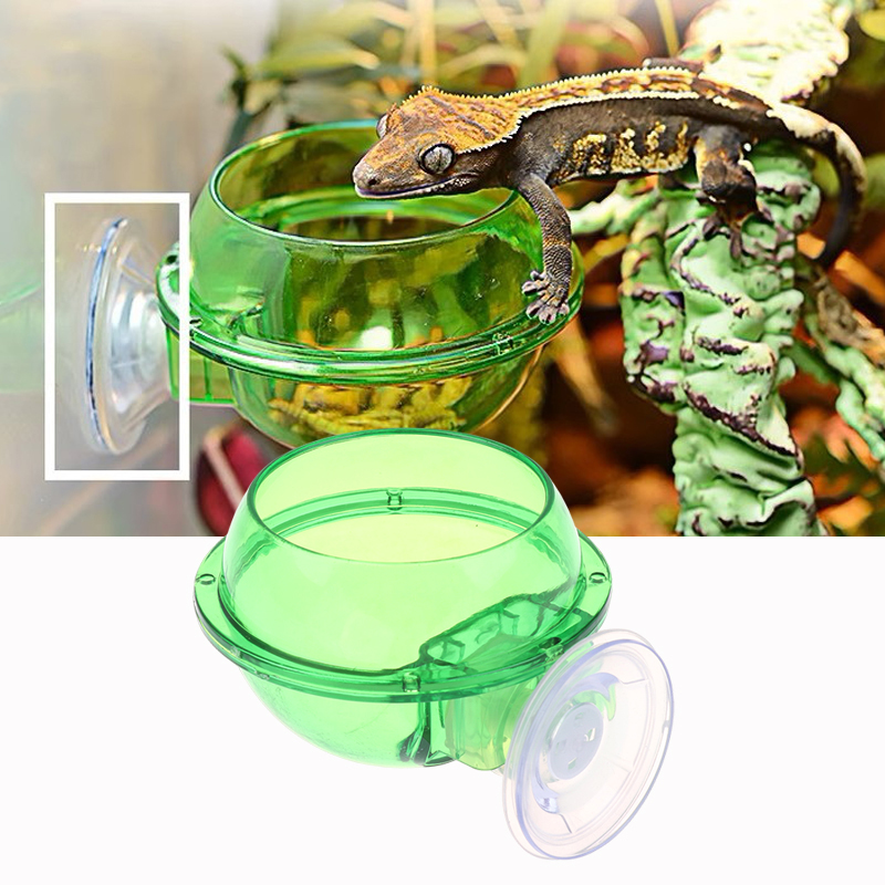 For Lizard Gecko Chameleon Rep - Water Dish Reptile review and price