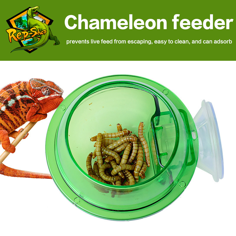 For Lizard Gecko Chameleon Rep - Water Dish Reptile review and price