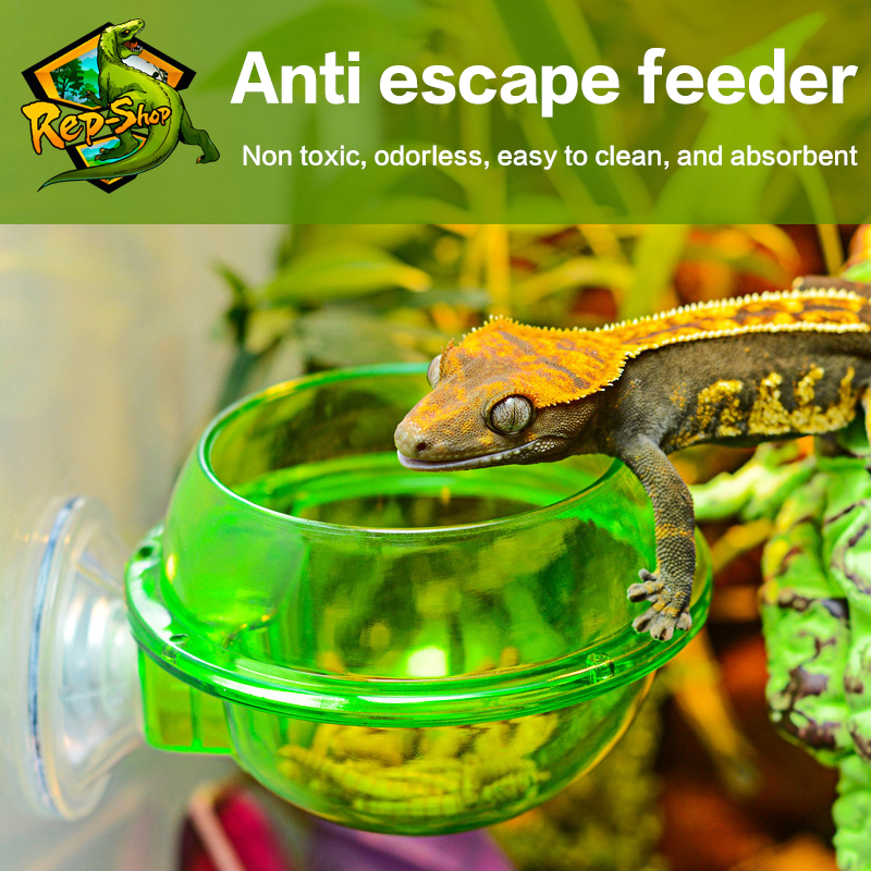 For Lizard Gecko Chameleon Rep - Water Dish Reptile review and price