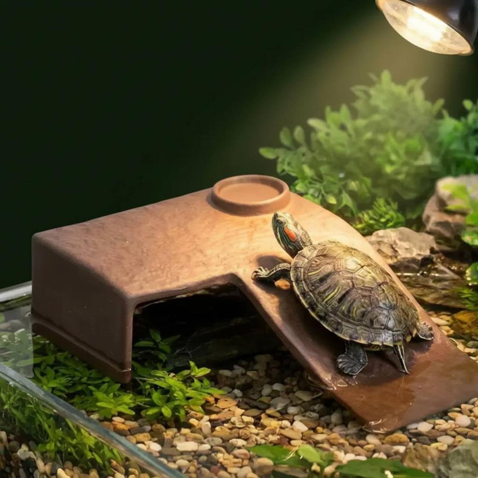 2 Pieces Turtle Basking Dock E - Hide Cave Ceramic review and price