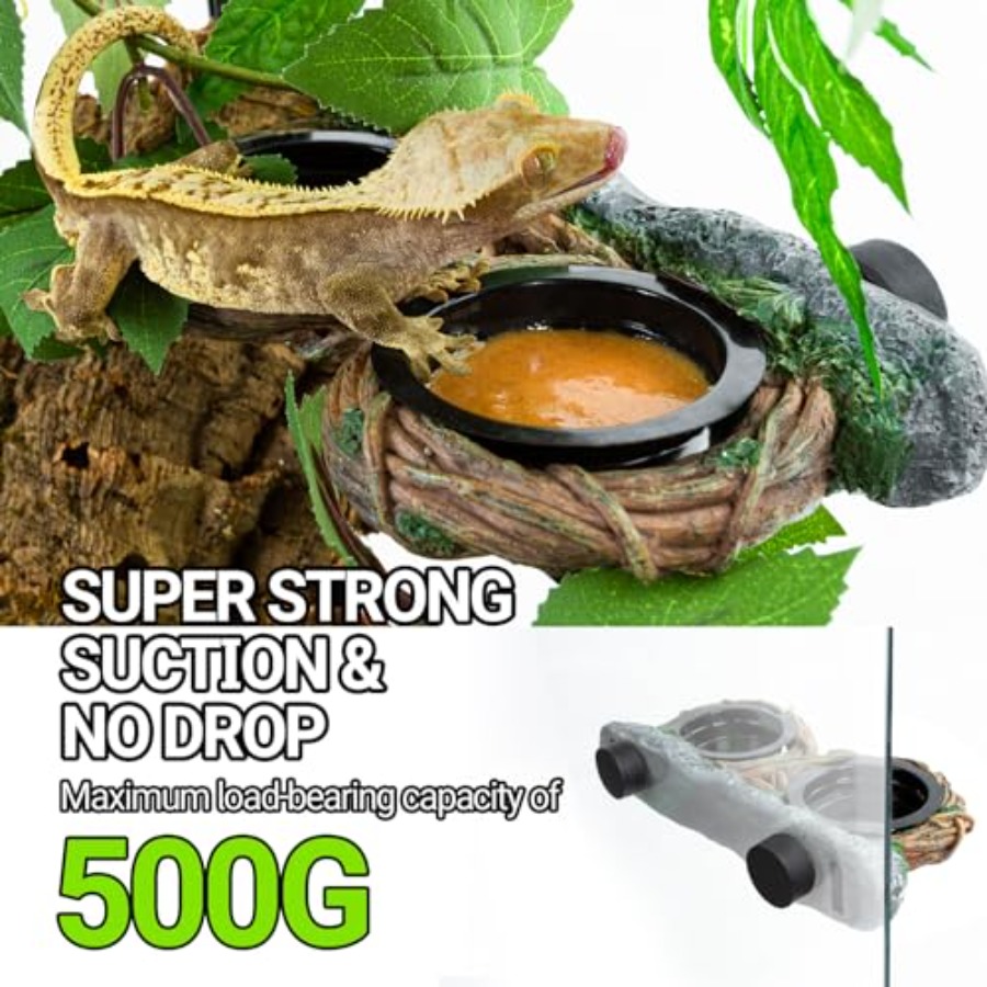 【Spot goods】Magnetic Reptile F - Water Dish Reptile review and price
