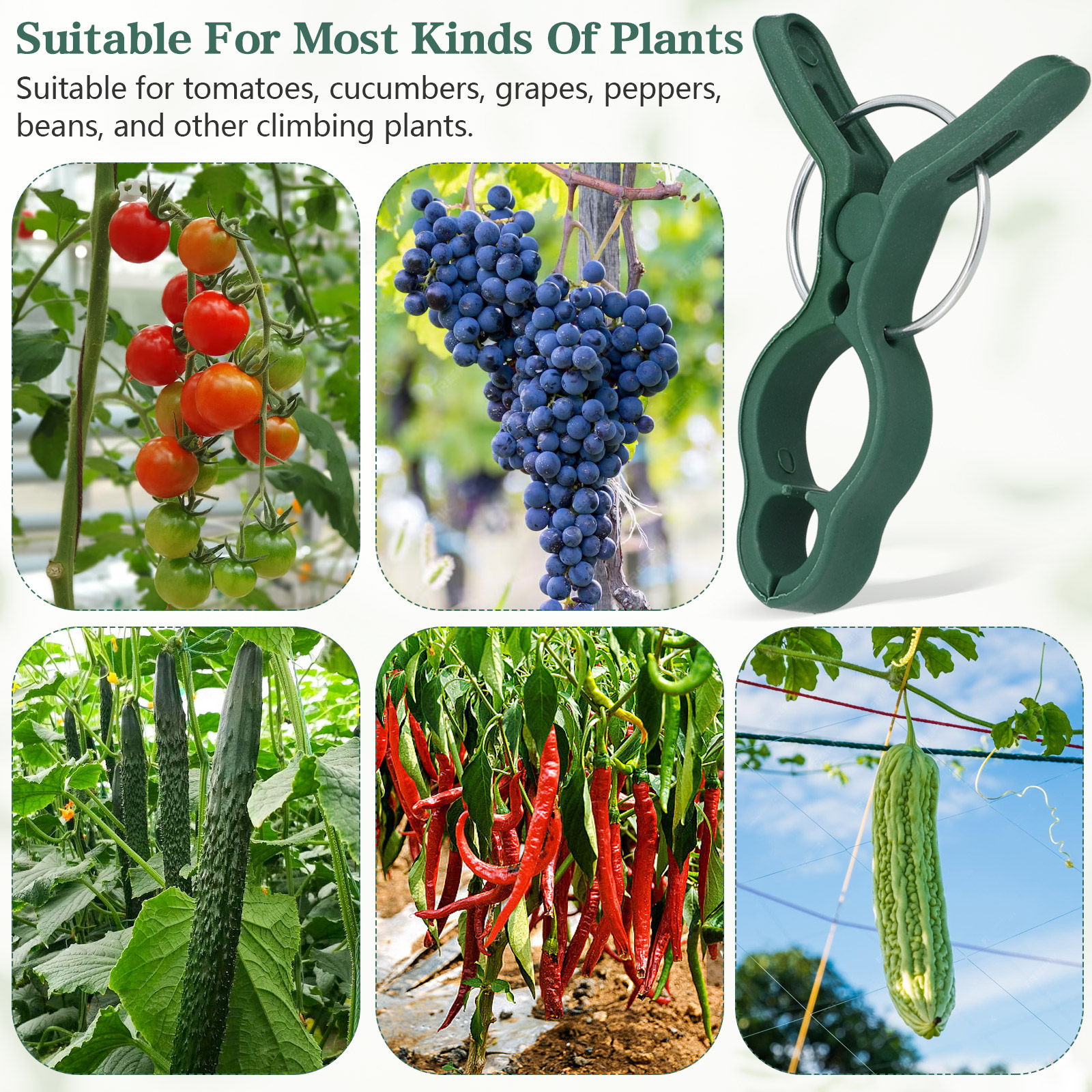 50Pcs Plant Vine Support Clips - Vine Climbing Plastic review and price