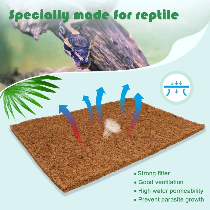 Pack Of 4 Natural Coconut Fibe - Substrate Coconut Fiber review and price