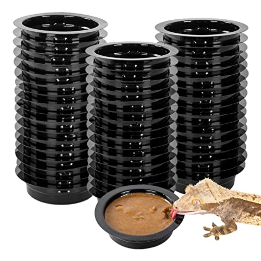 【Spot goods】Magnetic Reptile L - Water Dish Reptile review and price
