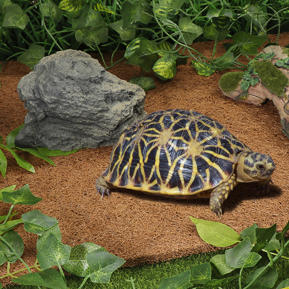 Coconut Fiber Reptile Mat Non- - Substrate Coconut Fiber review and price