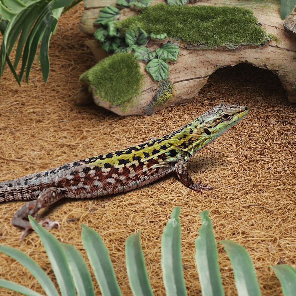 Coconut Fiber Reptile Mat Non- - Substrate Coconut Fiber review and price