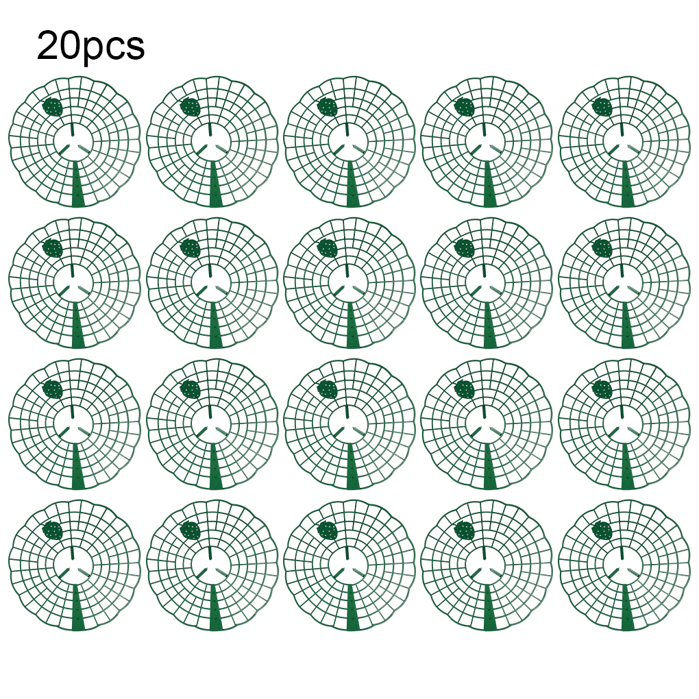 20PCS Strawberry Stand Green C - Vine Climbing Plastic review and price