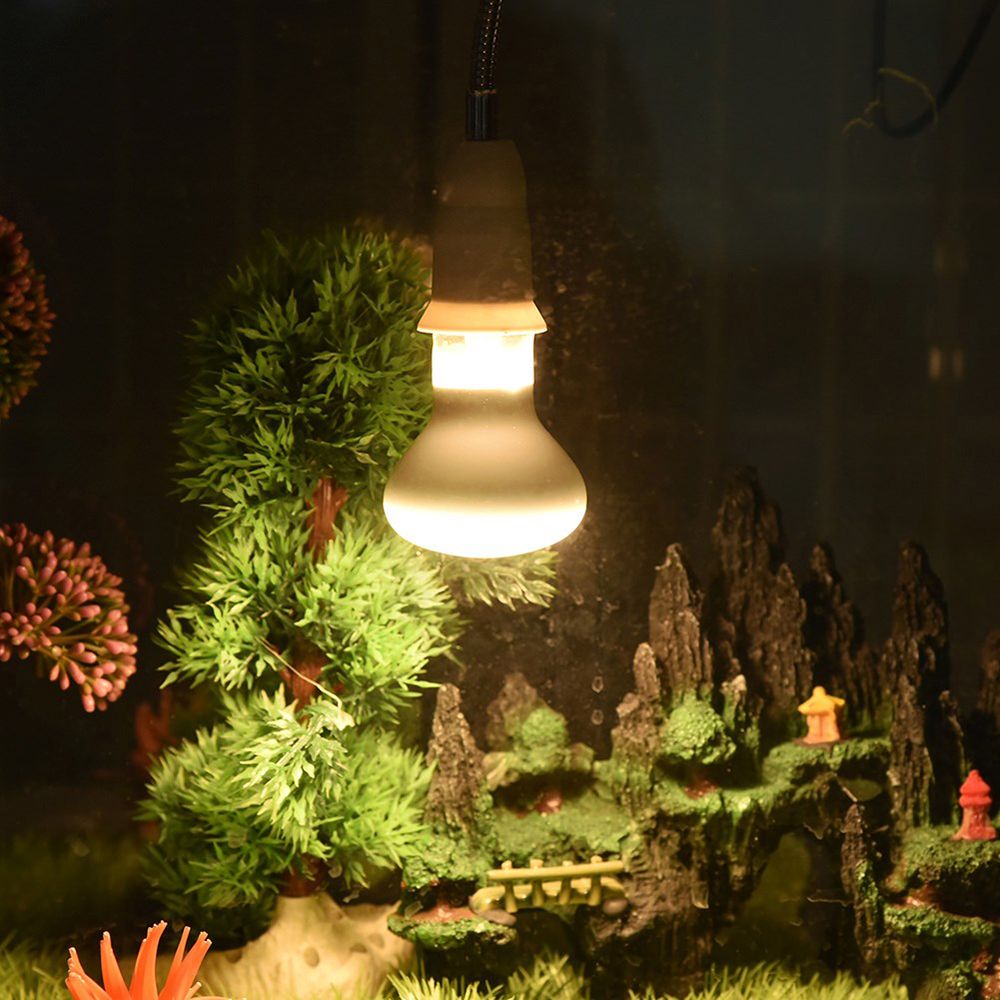 Amphibians Heater Temperature  - Basking Bulb Halogen review and price