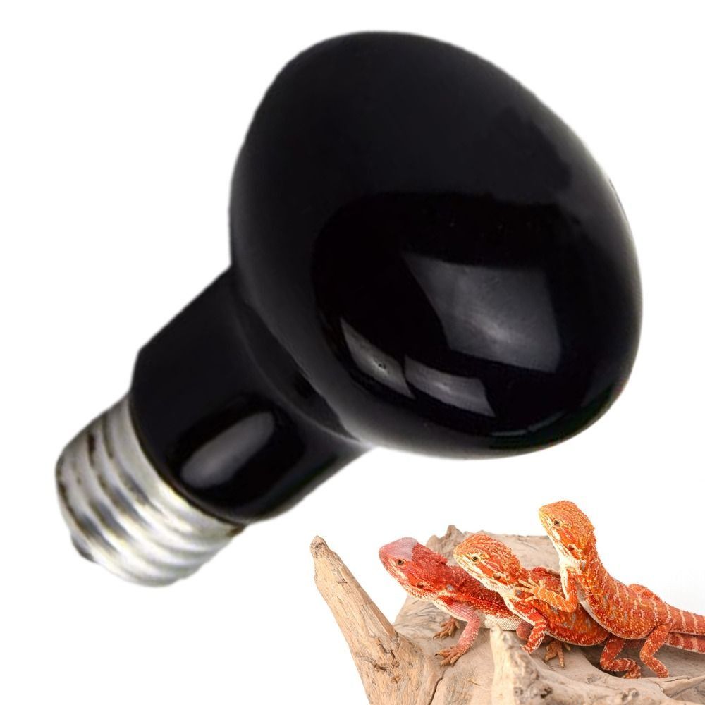 Infrared Led Pet Heating Lamp  - Ceramic Heat Emitter review and price