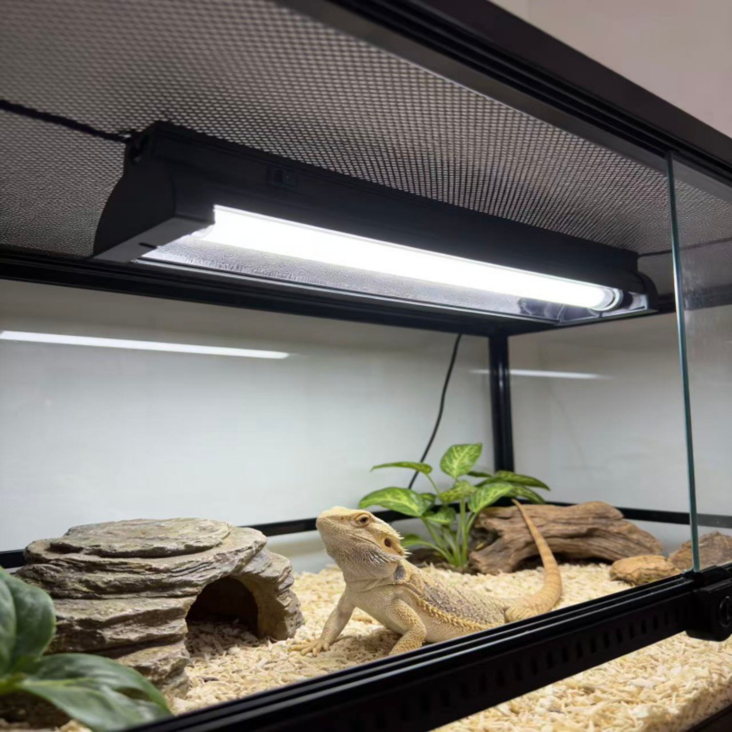 T5 UVB Reptile Light Fixture K - Calcium Powder Reptile review and price
