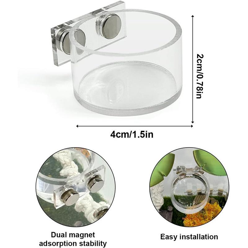 New Reptile Feeding Dish Set M - Water Dish Reptile review and price