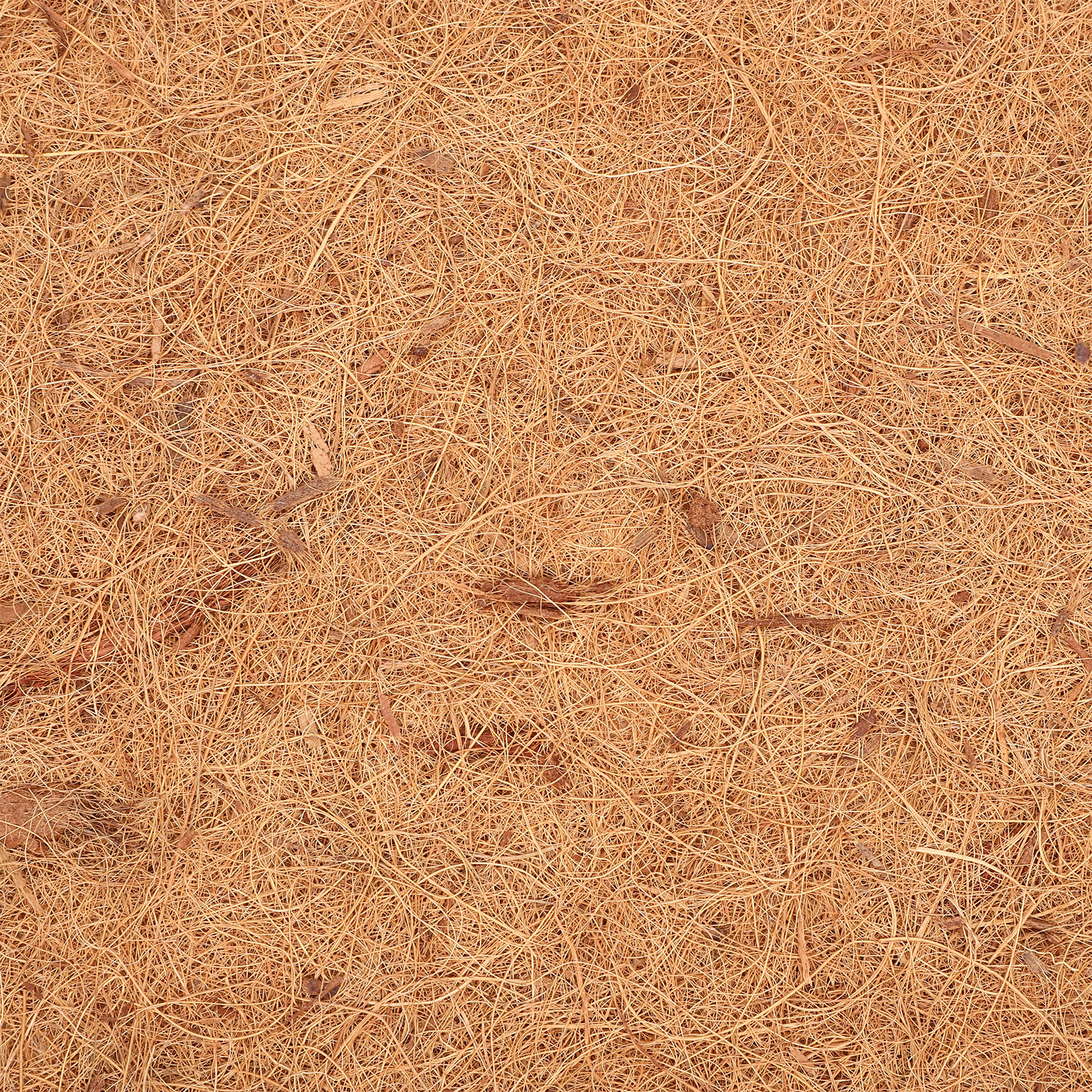 Coconut Fiber Reptile Carpet M - Substrate Coconut Fiber review and price