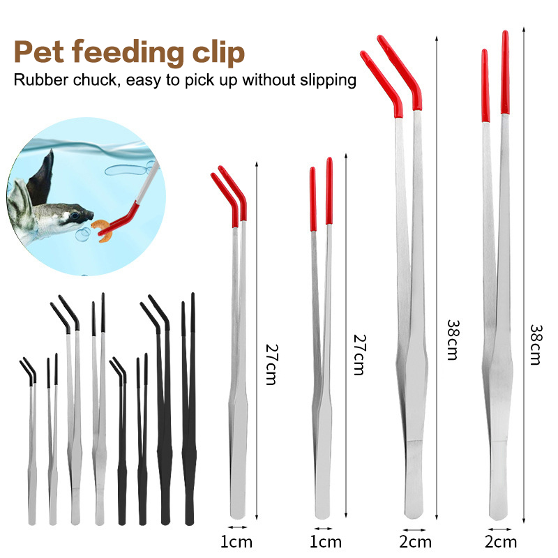 Stainless Steel Reptile With R - Feeding Tong Stainless review and price