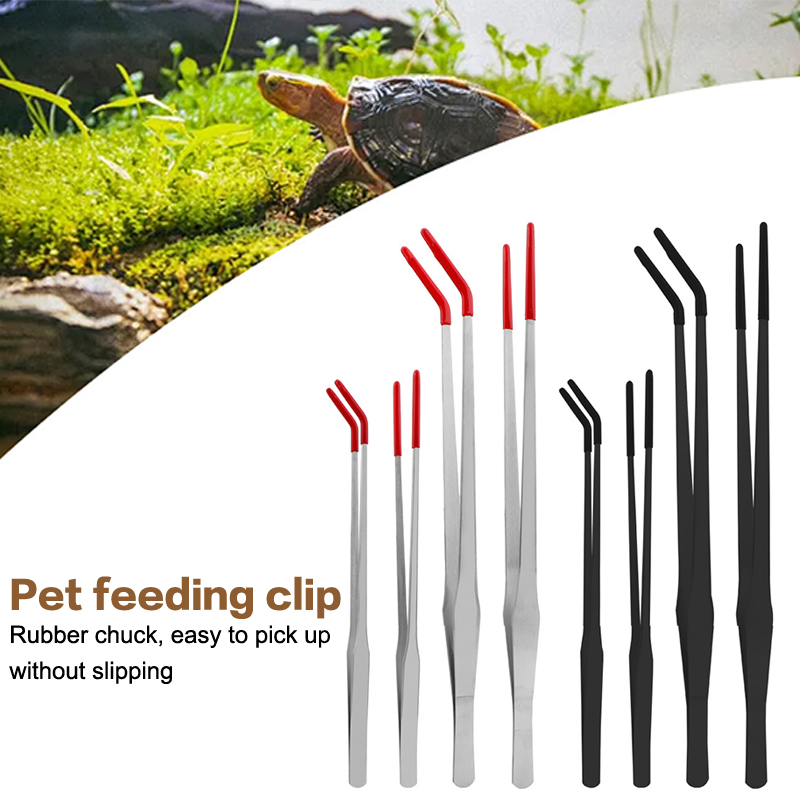 Stainless Steel Reptile With R - Feeding Tong Stainless review and price