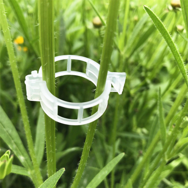 100pcs Clear Plastic Plant Cli - Vine Climbing Plastic review and price