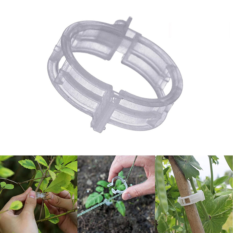 100pcs Clear Plastic Plant Cli - Vine Climbing Plastic review and price