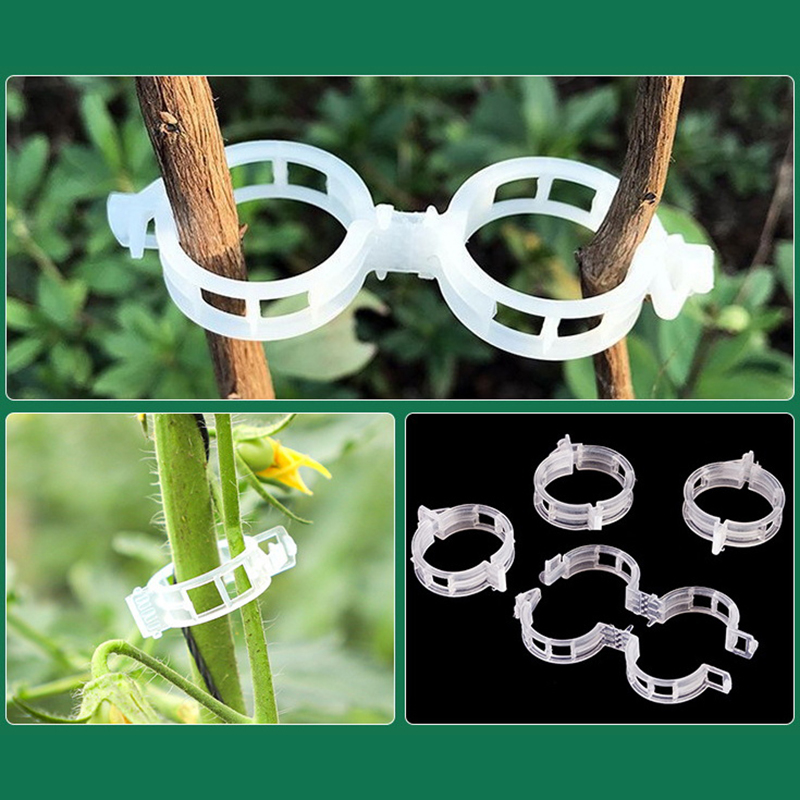 100pcs Clear Plastic Plant Cli - Vine Climbing Plastic review and price