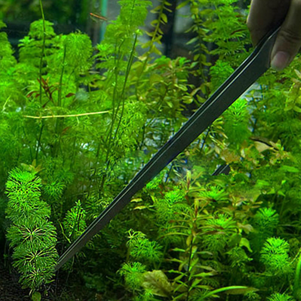 10.5 Inch Reptile Feeding Tong - Feeding Tong Stainless review and price
