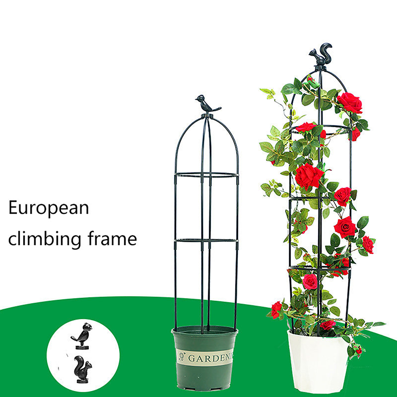 New DIY Flower Vine Climbing P - Vine Climbing Plastic review and price