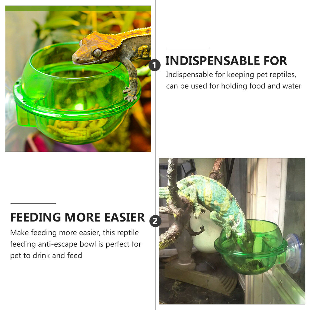 4Pcs Reptile Bowl Suction Cup  - Water Dish Reptile review and price