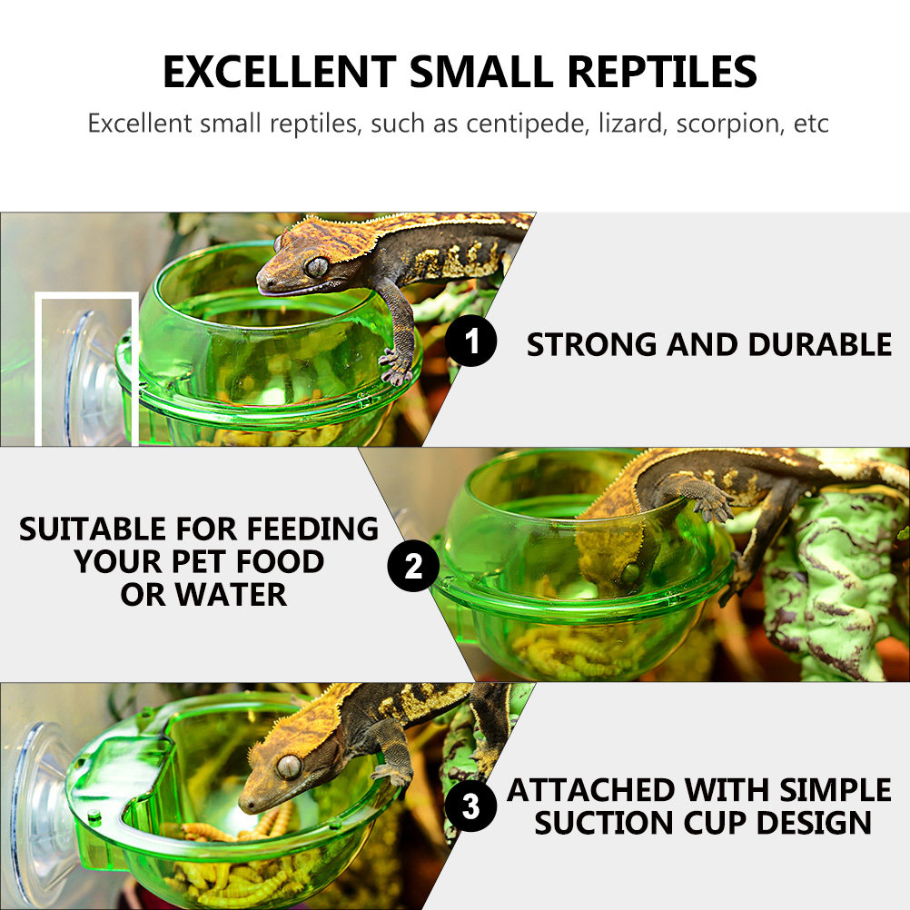 4Pcs Reptile Bowl Suction Cup  - Water Dish Reptile review and price