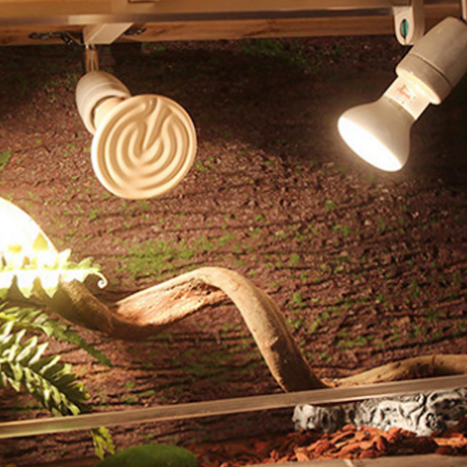 E27 Rotatable Reptile Pet Clip - Ceramic Heat Emitter review and price