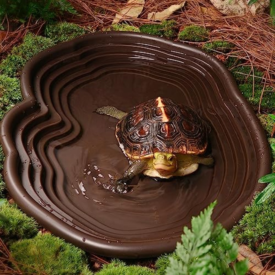 【Spot goods】Extra Large Reptil - Water Dish Reptile review and price