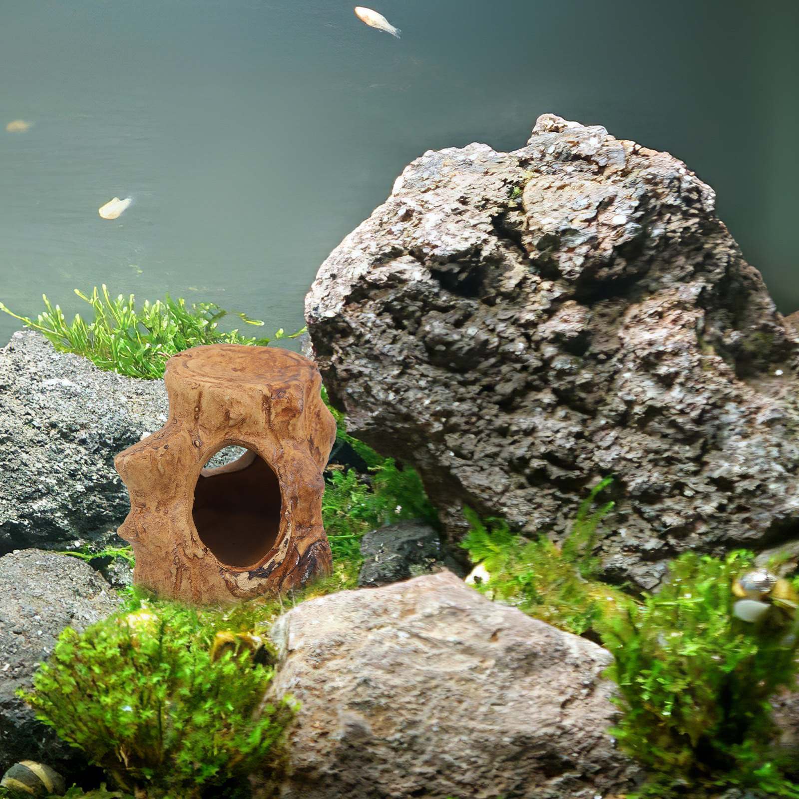 Pleco Caves for Aquarium Fish  - Hide Cave Ceramic review and price