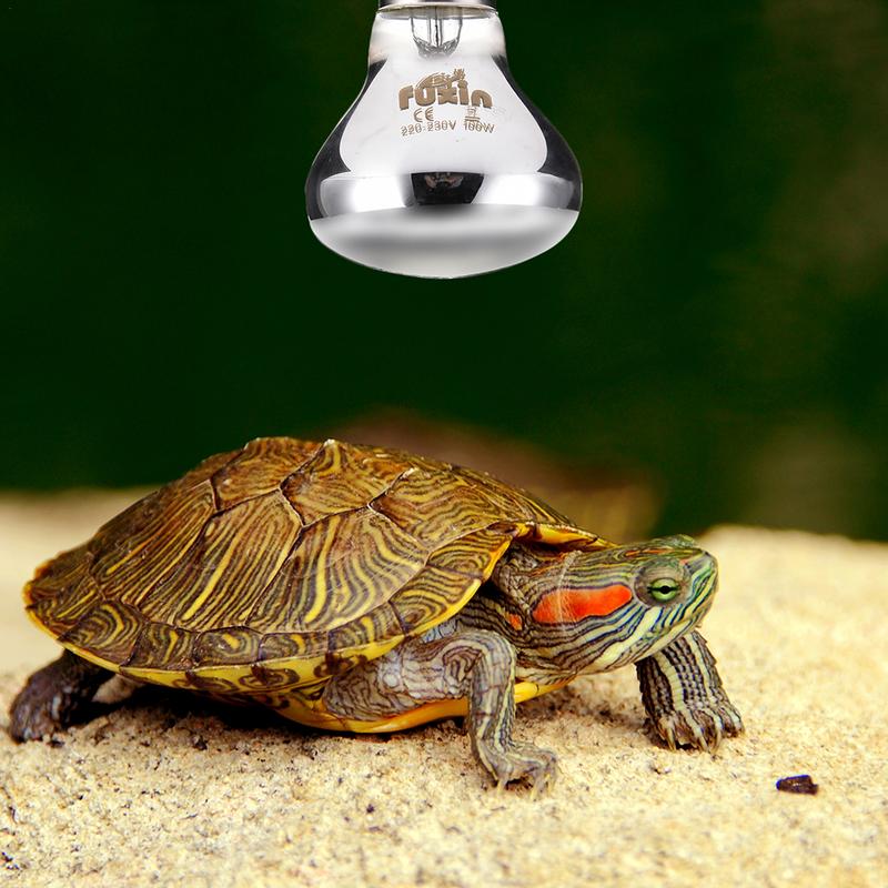 Pet Heating Lamp E27 Day Night - Ceramic Heat Emitter review and price