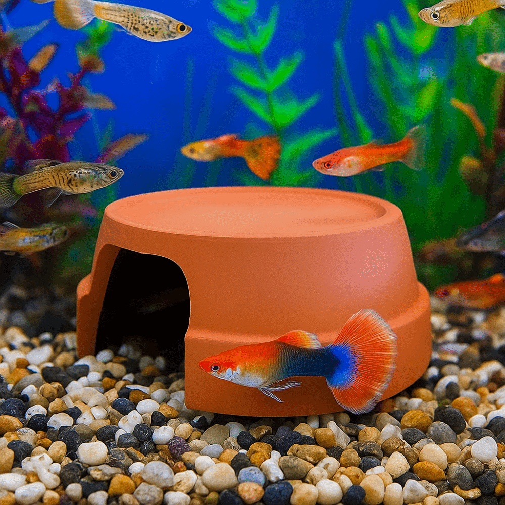 Multifunctional Ceramics Repti - Hide Cave Ceramic review and price