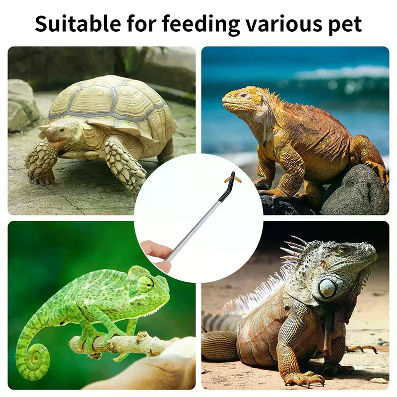 Straight and Curved Aquarium T - Feeding Tong Stainless review and price