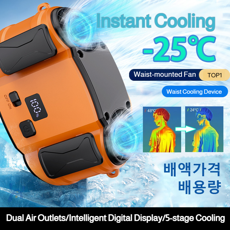 Outdoor Double Air Outlet Fan  - Timer Dual Outlet review and price