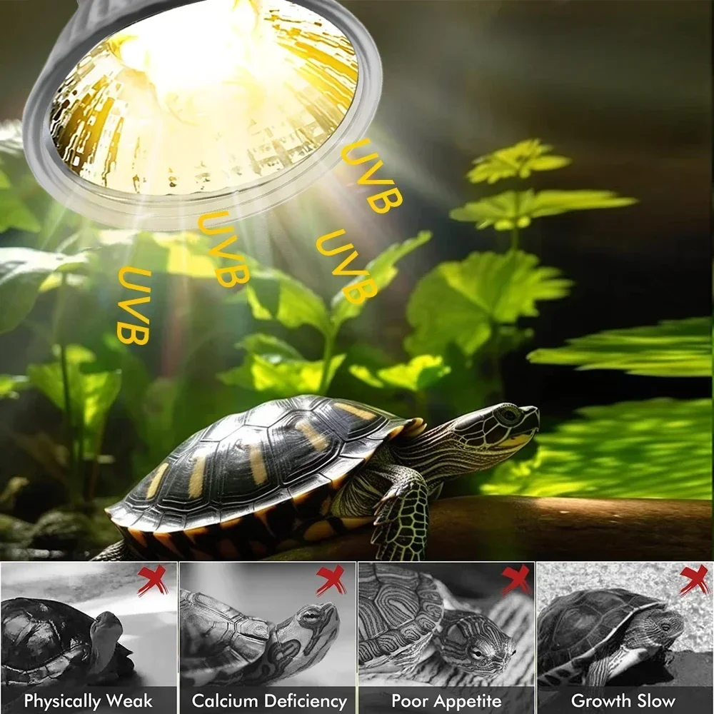 75/50/25W Tortoise Lizard Bask - Calcium Powder Reptile review and price