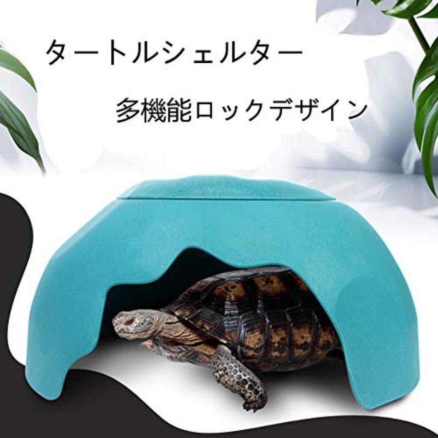 【Spot goods】Reptiles House wit - Hide Cave Ceramic review and price