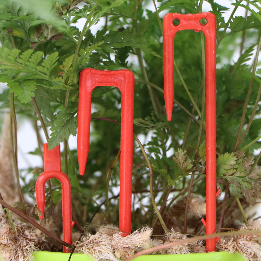 20-50PCS Strawberry Planting F - Vine Climbing Plastic review and price
