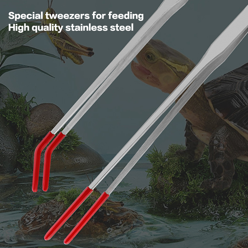 Fish Tank Cleaning Tools Snake - Feeding Tong Stainless review and price