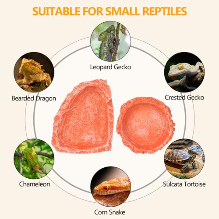 【Spot goods】Reptile Water Dish - Water Dish Reptile review and price
