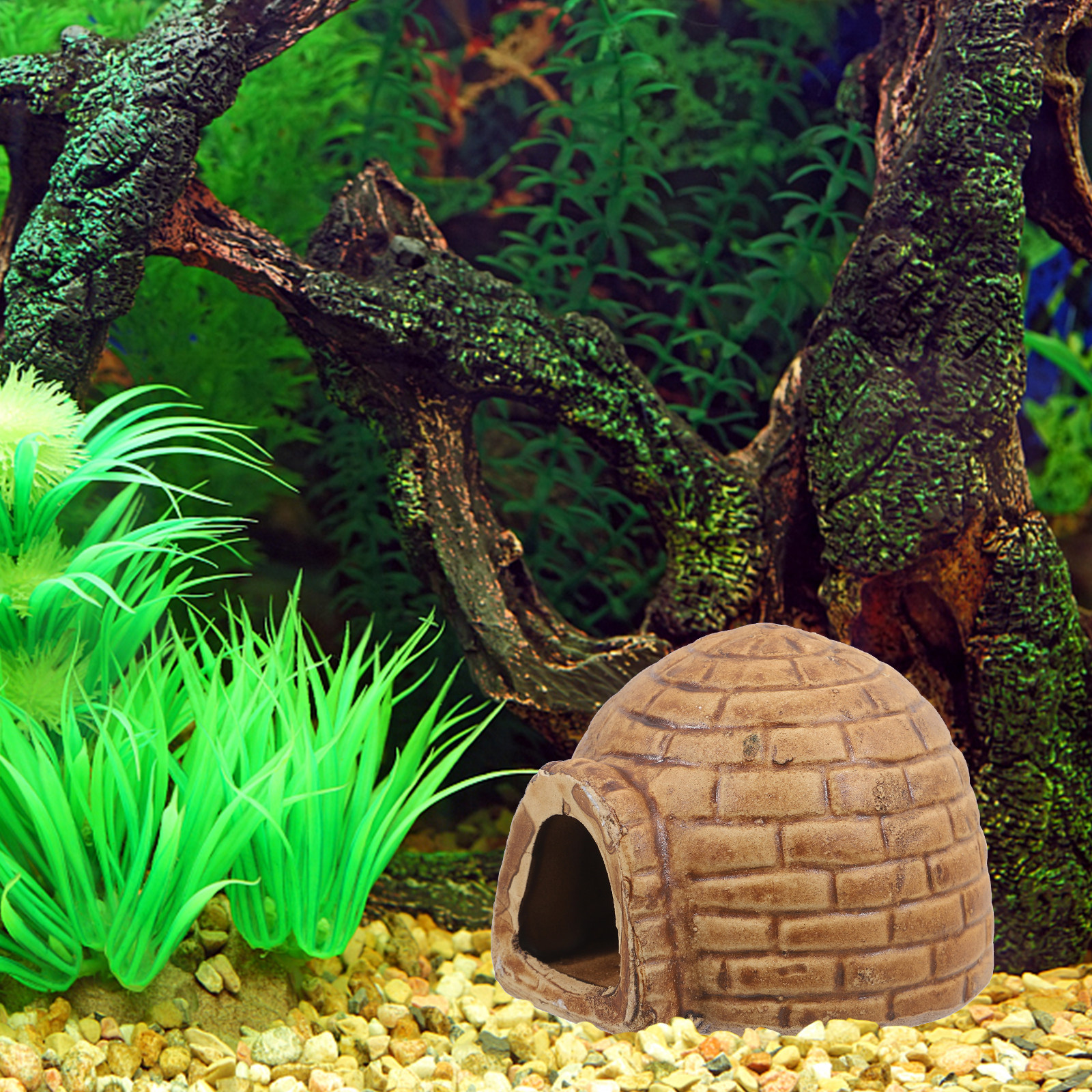 Ceramic Pleco Caves for Aquari - Hide Cave Ceramic review and price