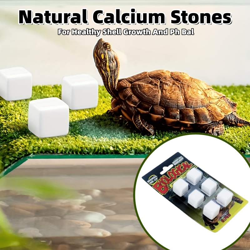 6 Pcs Fish Tank Calcium Block  - Calcium Powder Reptile review and price