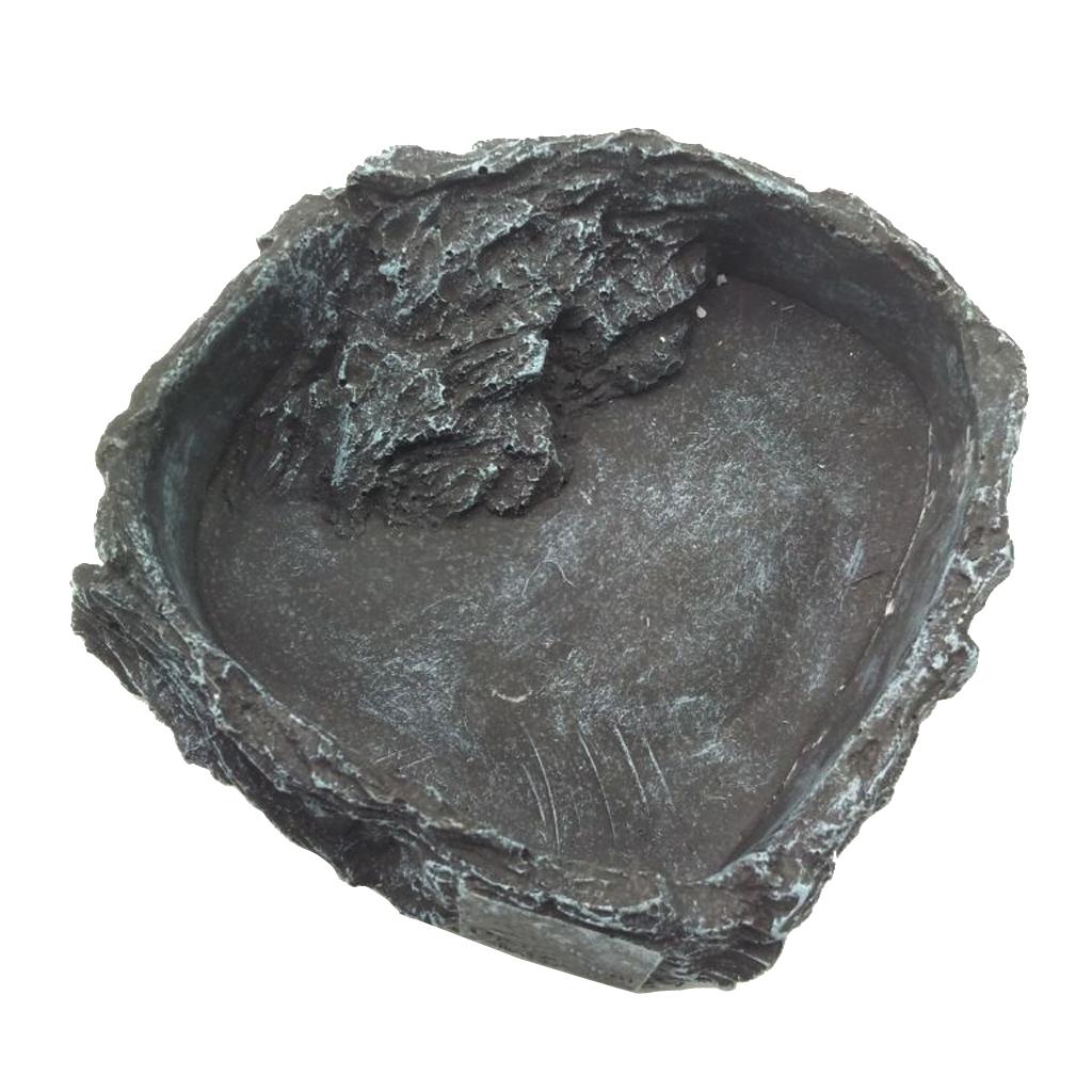 Resin Reptile Water Bowl Corne - Water Dish Reptile review and price