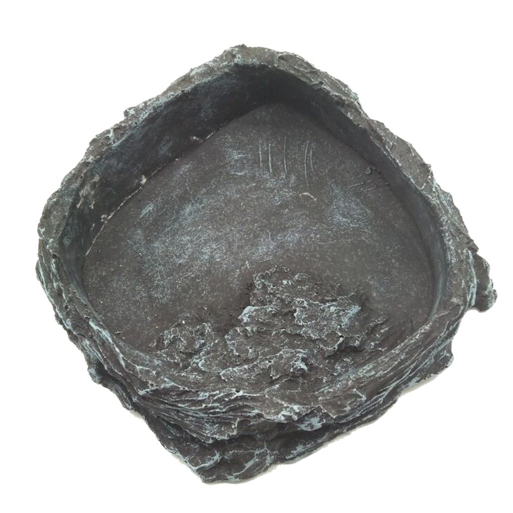 Resin Reptile Water Bowl Corne - Water Dish Reptile review and price