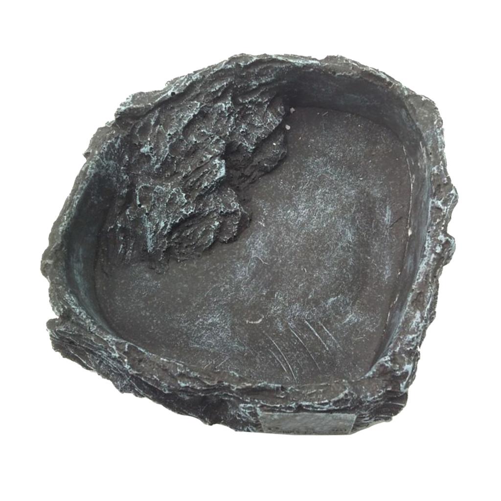 Resin Reptile Water Bowl Corne - Water Dish Reptile review and price