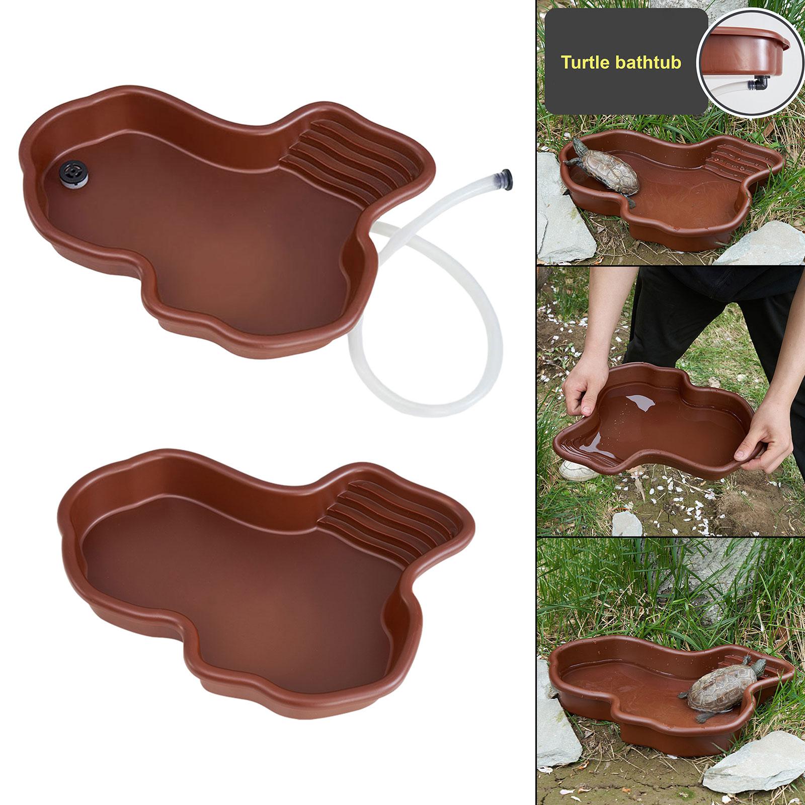 Reptile Bathing Pool Amphibian - Water Dish Reptile review and price